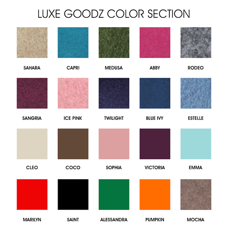 Louis Vuitton Mini Pochette Accessoires Organizer