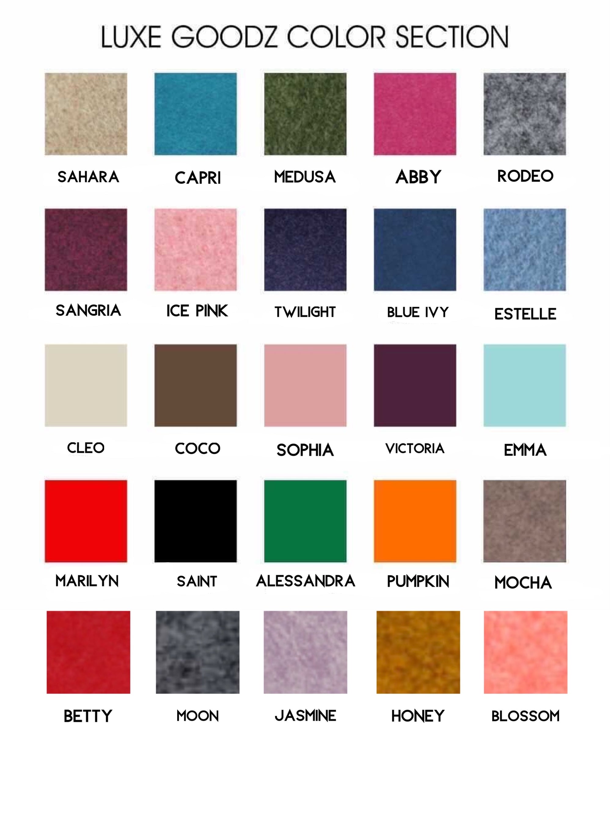 Bottega Veneta Cassette Bag Organizer